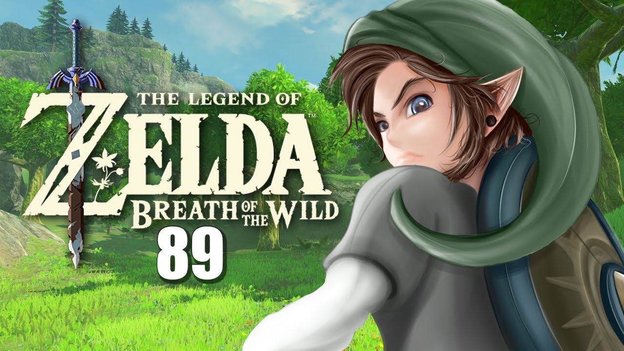 Zelda Breath Of The Wild Pfeile