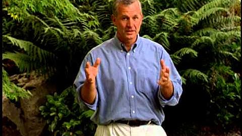 Terry Hershey - Renewal