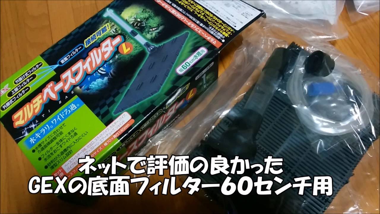 ポーラスリングと組み合わせて 底面フィルター水槽立ち上げてみた Youtube