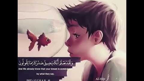القارئ هلويست نصر الدين 🎧💜حالات واتس اب قرأن