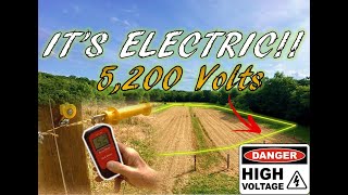 Installing Electric Fence for Deer | Protecting Sunflowers with 5,200 VOLTS | Dove Farming 2023