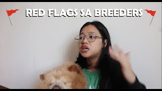 WHAT TO ASK A BREEDER BEFORE BUYING A DOG. Redflags you must know! Chowchow Edition (Vlog#92)