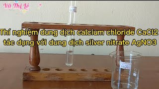 Thí Nghiệm Calcium chloride CaCl2 Tác Dụng Với Silver nitrate AgNO3| KHTN 8