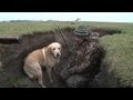 Wildfowling in Scotland