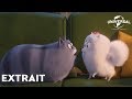 Comme des Bêtes 2 - Extrait &quot;Gidget remarque quelque chose&quot; VF [Au cinéma le 31 juillet]