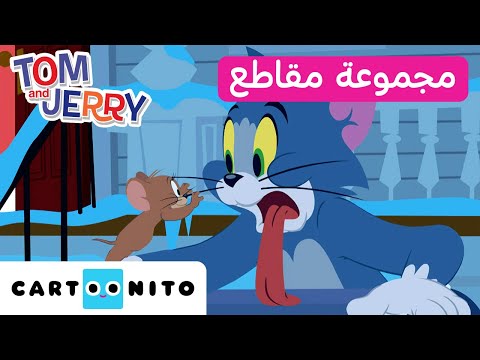 توم وجيري توم في مواجهة جيري كارتونيتو