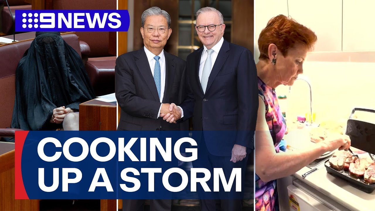 Pauline Hanson suspended from the Senate, hosts Barnaby Joyce for dinner