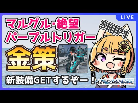 【PSO2/NGS/SHIP1】下層Rank3追加！マルグルやるぞー！【VTuber】