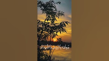 سورة الزمر آيه  { ٦٩ } #المصحف #quran #اكسبلور #duet #islamicfestival #راحة_نفسية #الرحمن #islamicho