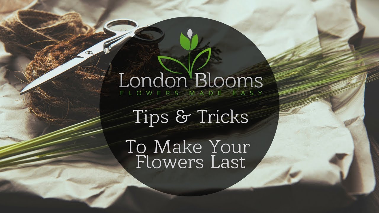 How to keep Cut Flowers Fresh and Alive Longer ������ | London Blooms- Weekly Flower Delivery Service