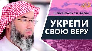 Укрепи свою веру! Шейх Набиль аль-Авади. Послушайте обязательно!