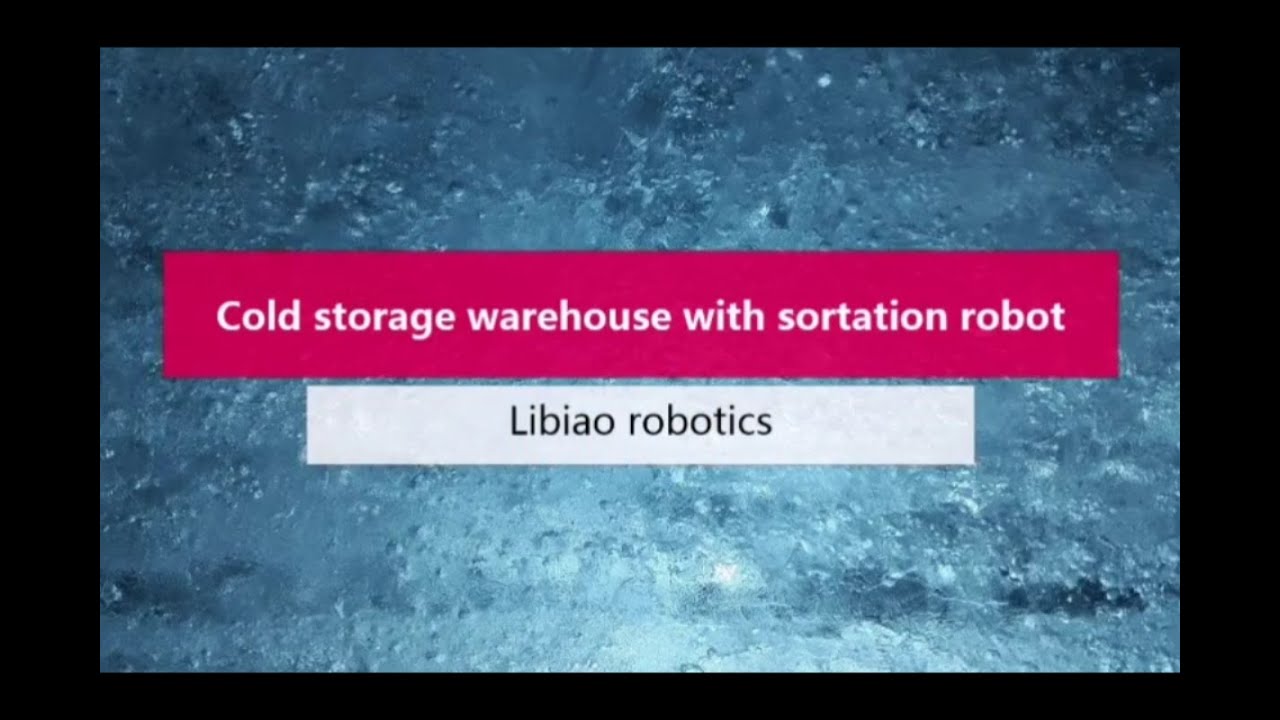 Cold chain warehouse sorting! -18℃ sorting!Fresh sorting.World first ...