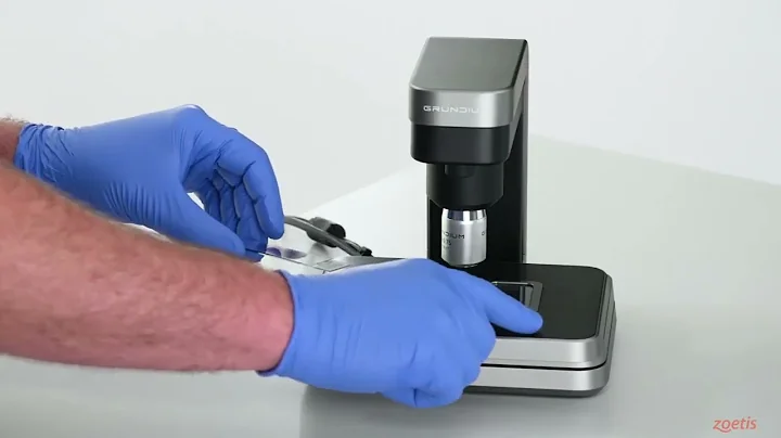 VETSCAN Imagyst Demo AI Blood Smear