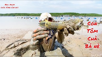 Gia Đình Đi Bắt Tôm Tích/Thành Quả Thật Bất Ngờ /Như Phạm Cuộc Sống Cần Giờ