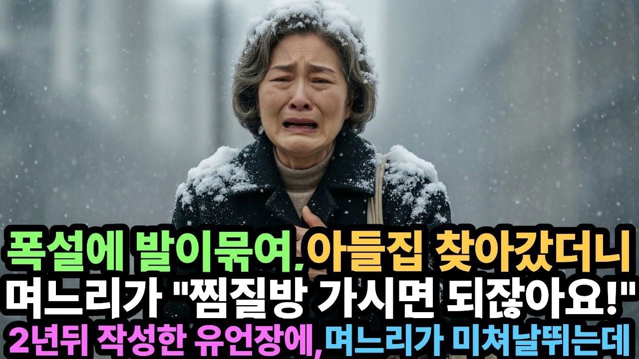 폭설이 쏟아지는 밤,하룻밤 재워달랬더니, 큰며느리가 