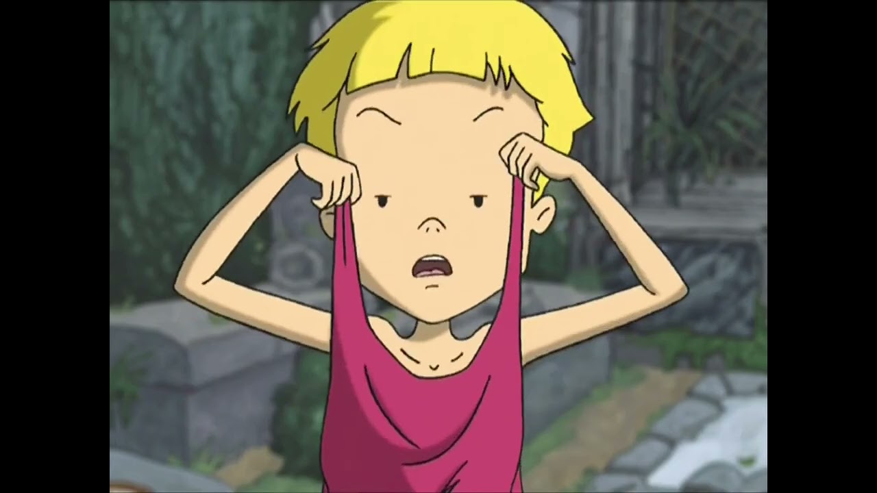 Les Pantoufles du Sagouin shrinking