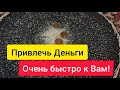 Скоропомощник на приход денег и Клиентов. Самир Али