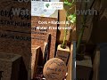 This Simple Swap Can Save Thousands of Liters | Small Eco Swaps That Save Big Water