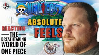 THE ABSOLUTE FEELS | "THE BREATHTAKING WORLD OF ONE PIECE" REACTION