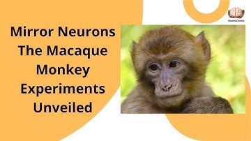 10- Mirror Neurons: The Macaque Monkey Experiments Unveiled