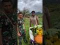 TNI bertemu dengan Pace Papua membawa sayuran #fypage #tni #papua #semuaorang #videoshort