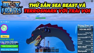 Thử Săn Cá Mập Và Sea Beast VớiTrái Voi Mammoth || Blox Fruits!