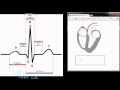 Electrocardiography: Introduction