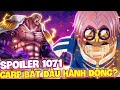 SPOILER 1071 | GARP BẮT ĐẦU HÀNH ĐỘNG LÊN ĐƯỜNG CỨU KOBY?!