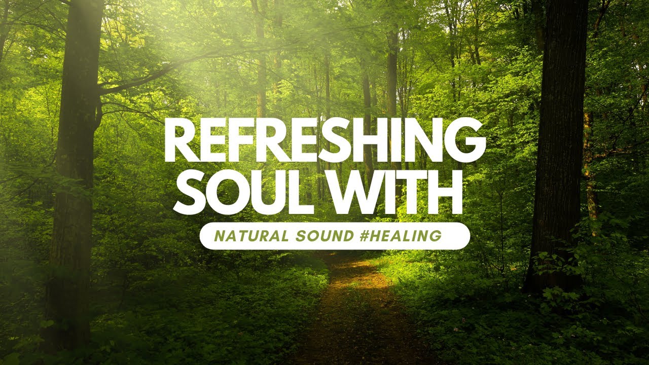 Refreshing soul with natural sound healing YouTube