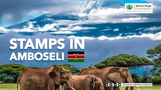 SHARON RINGO: STAMPS IN AMBOSELI