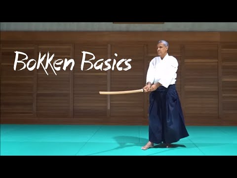 Introduction to Chiba Sensei's Weapons System - Bokken Basics