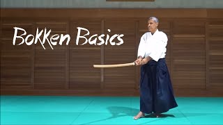 Introduction to Chiba Sensei's Weapons System - Bokken Basics