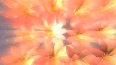 wipe rose MPEG1 VCD PAL