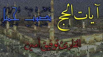 آيات الحج _ بصوت هادئ وجميل😍_القارئ | توفيق أمين