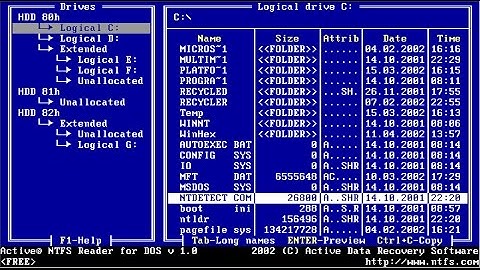 ms DOS tutorial chapter 3: expert level