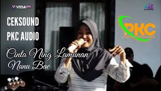 Cinta Ning Lamunan / Voc.Nunu CEKSOUND PKC AUDIO