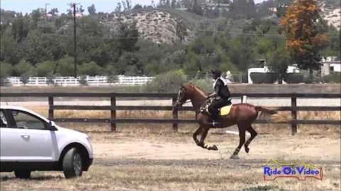 098XC Lisa Bauman Open Training Cross Country Galw...