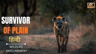 Survivors of The Plains - हिन्दी डॉक्यूमेंट्री | Wildlife documentary in Hindi
