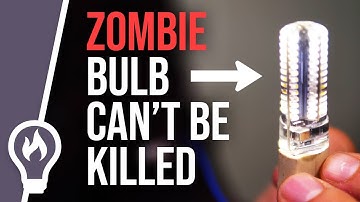 The cheap Chinese bulb that won