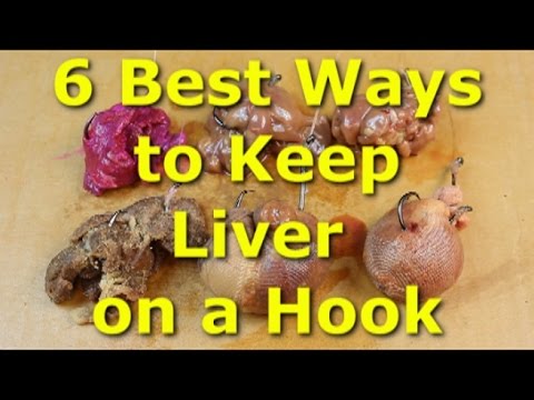 Using Liver for Catfishing Bait