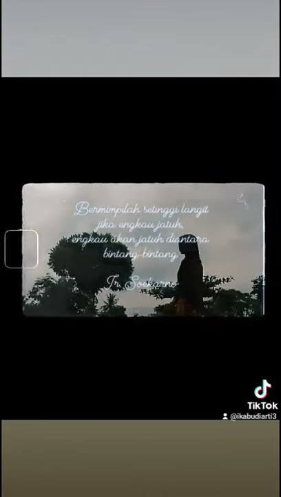 Video Tik Tok Kata-kata Bijak