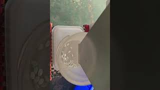 Рынок сортировочных машин как найти лучших поставщиков