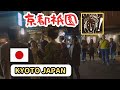京都祇園 次々に現れた舞妓さんと出会ってΣ(ﾟДﾟ) 笑顔 一同熱い眼差しで見つめる外国人観光客リアルな反応