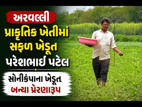 #arvalli | પ્રાકૃતિક ખેતીમાં સફળ ખેડૂત પરેશભાઈ પટેલ.| #drashtikonnews