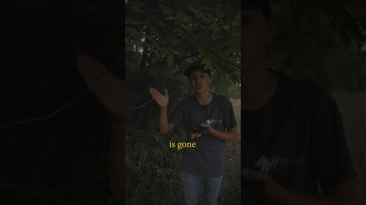 Trail Camera got stolen