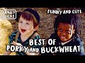 Best Of Porky And Buckwheat The Little Rascals 1994 Family Flicks 