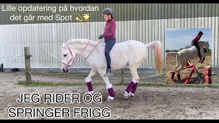 JEG RIDER OG SPRINGER FRIGG - LILLE OPDATERING PÅ SPOT EFTER BEHANDLINGER