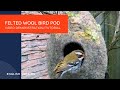 How to make wet felted wool bird pod - video demonstration/tutorial