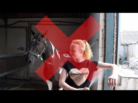 10-dingen-die-je-niet-moet-doen-bij-paarden-|-paardrijden-met-plezier