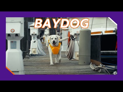 Tripbuddy Fedex